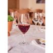 Picture of Chef & Sommelier Evidence Wine Glasses 450ml (24 Pack)