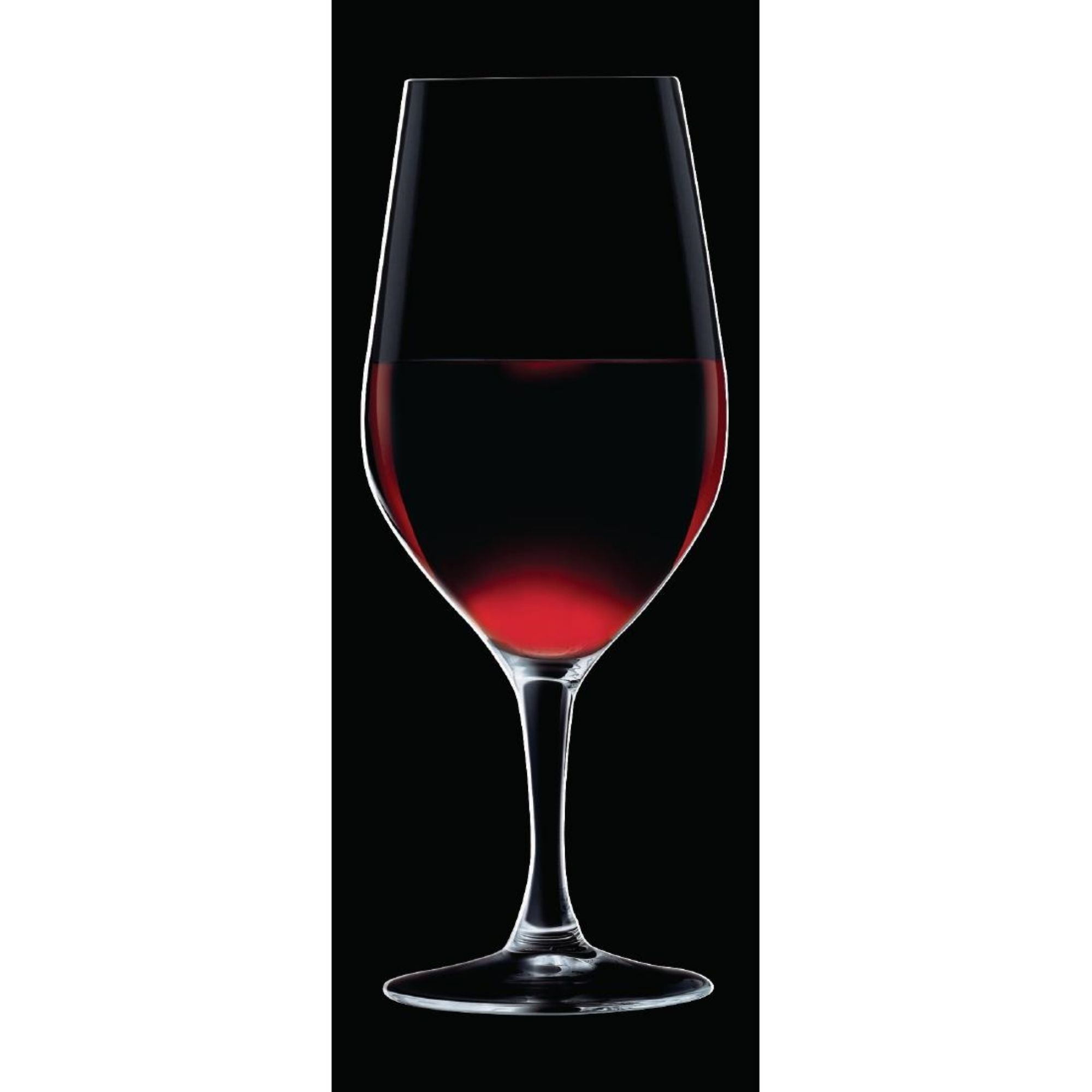 Picture of Chef & Sommelier Evidence Wine Glasses 450ml (24 Pack)