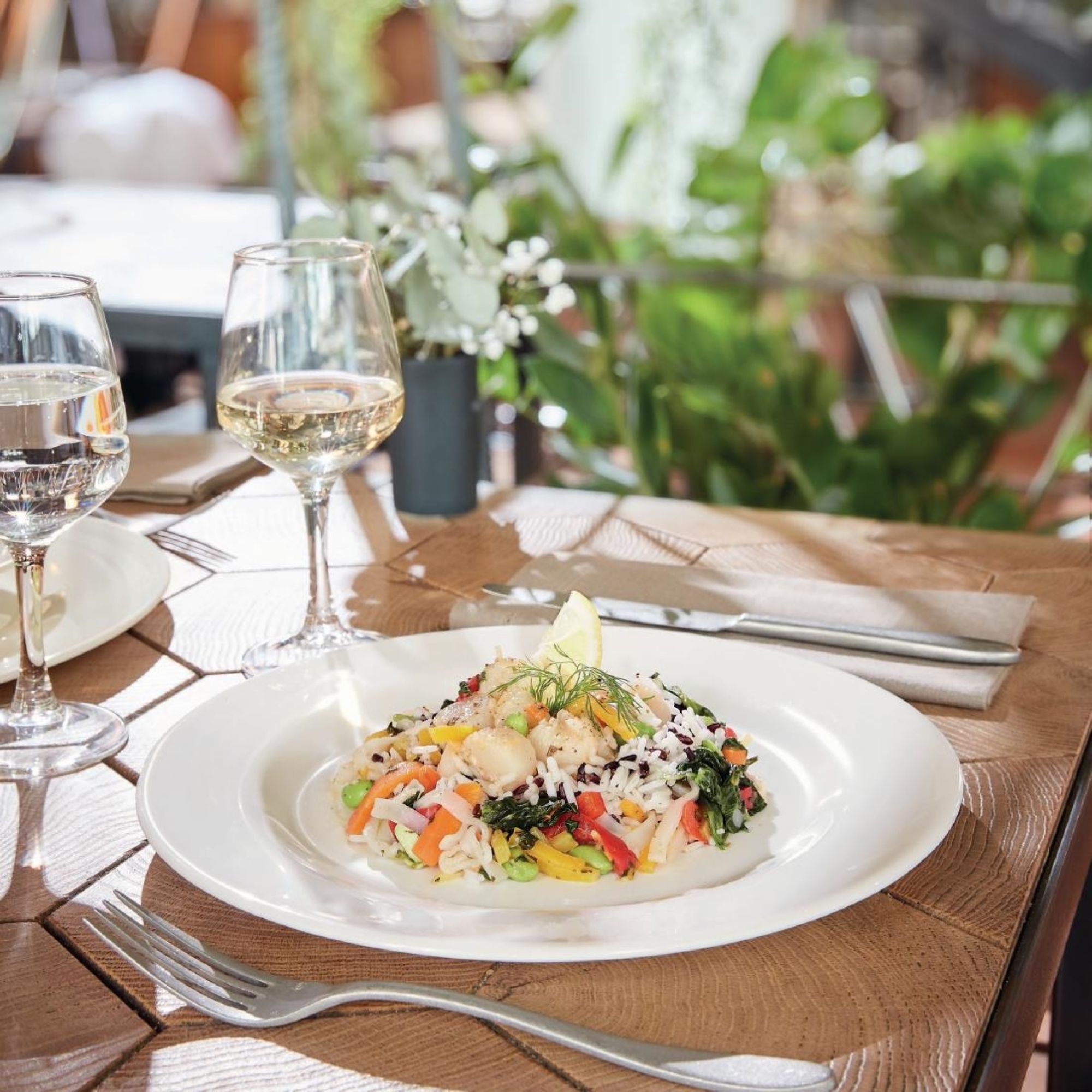 Picture of Arcoroc Intensity White Plates 240mm (24 Pack)