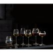 Picture of Royal Leerdam Experts Water Tumblers 450ml/15.75oz (6 Pack)