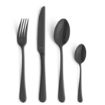Picture of Amefa Dessert Spoon Black (12 Pack)