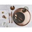 Picture of Amefa Blush Table Knife Copper (12 Pack)