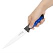 Picture of Hygiplas Pro Fillet Knife Blue 15cm