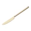 Picture of Amefa Metropole Champagne Table Knife (12 Pack)