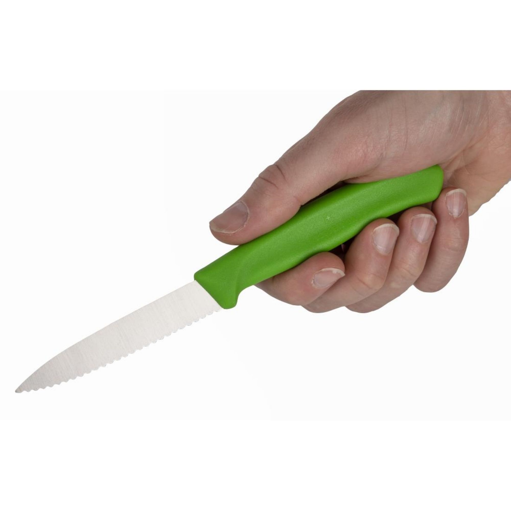 Picture of Victorinox Serrated Paring Knife Green 8.1cm