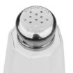 Picture of Olympia Panel Salt and Pepper Shaker (Pack of 12)