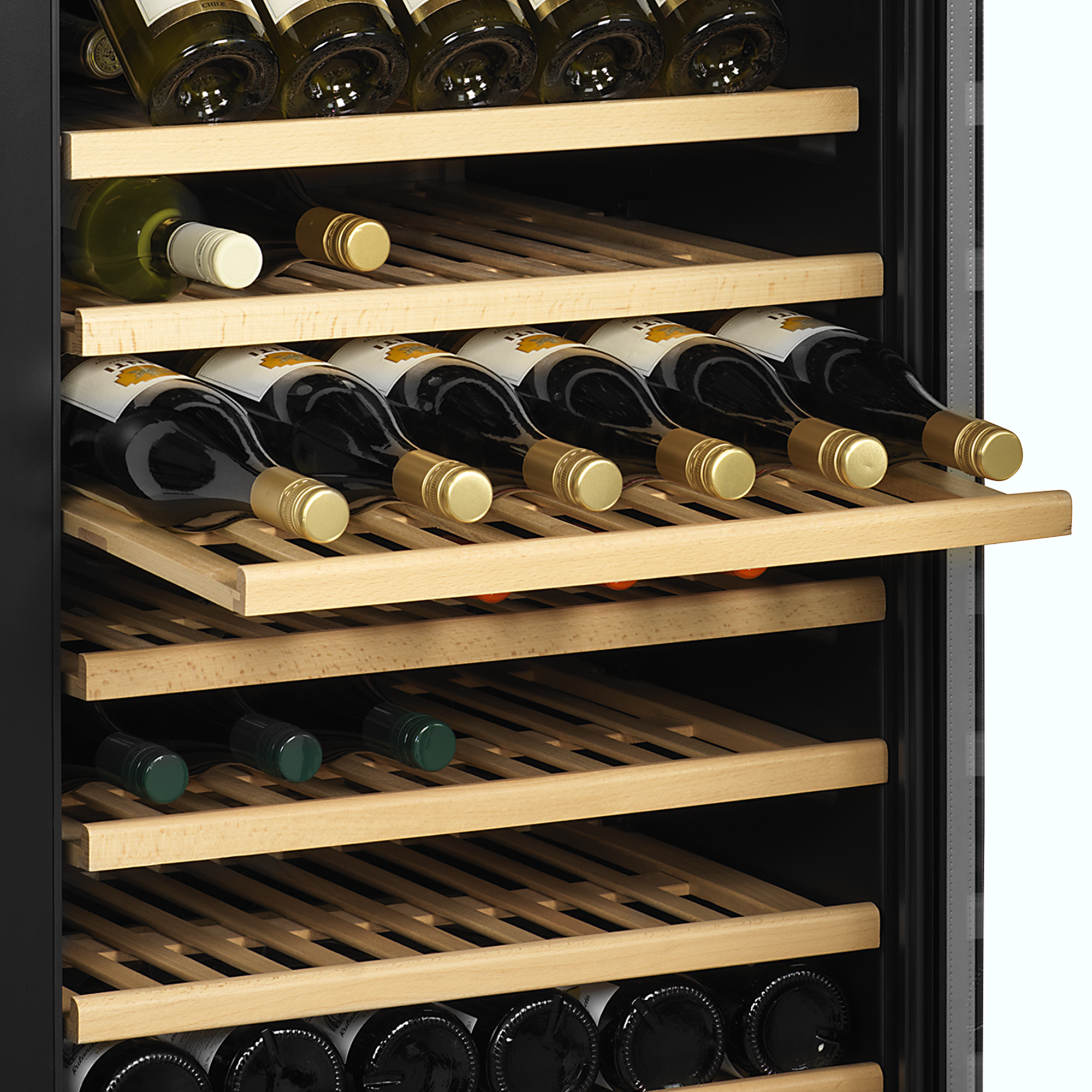 Picture of Tefcold TFW400-2F Wine Cooler
