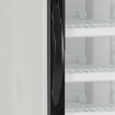 Picture of Tefcold NF2500G Glass Door Display Freezer