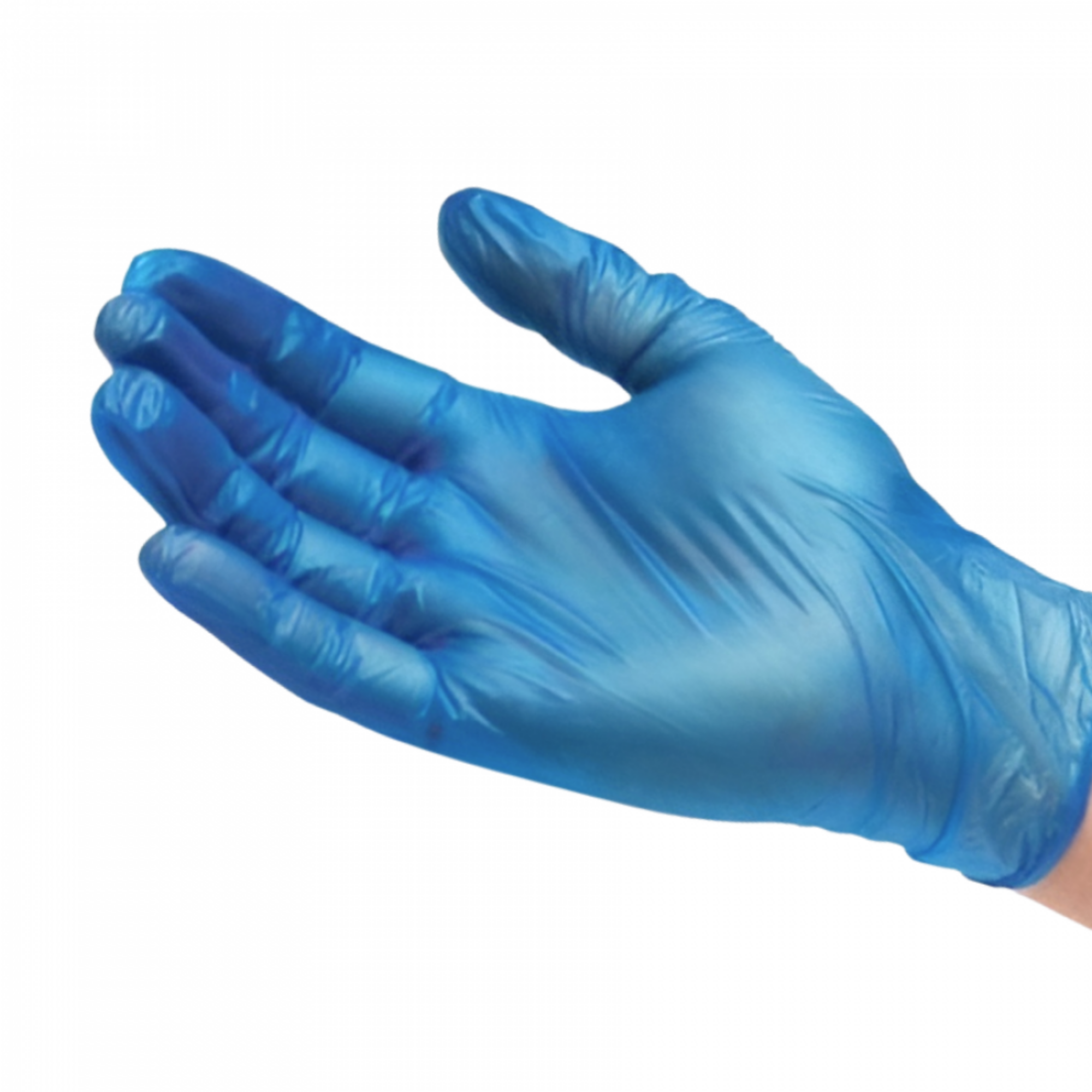 Picture of Vinyl Blue Powder Free Gloves
