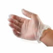 Picture of Vinyl Clear Powdered Gloves