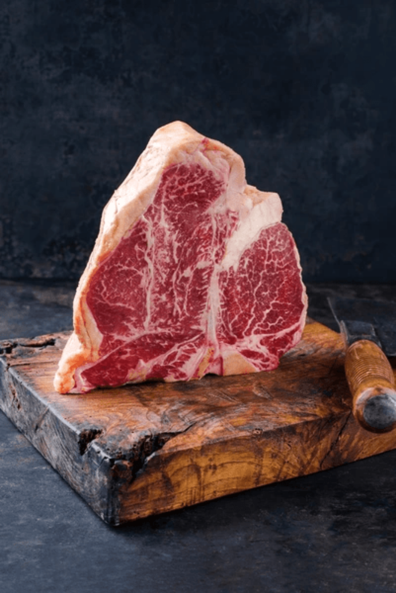 Picture of Combisteel Dry Age Cabinet - 138 L
