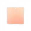 Picture of Peach Machine Burger Discs (Square) 114x114mm 6.5mm