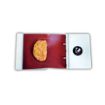 Picture of Meat Presser Cordon Bleu Maker SystemB