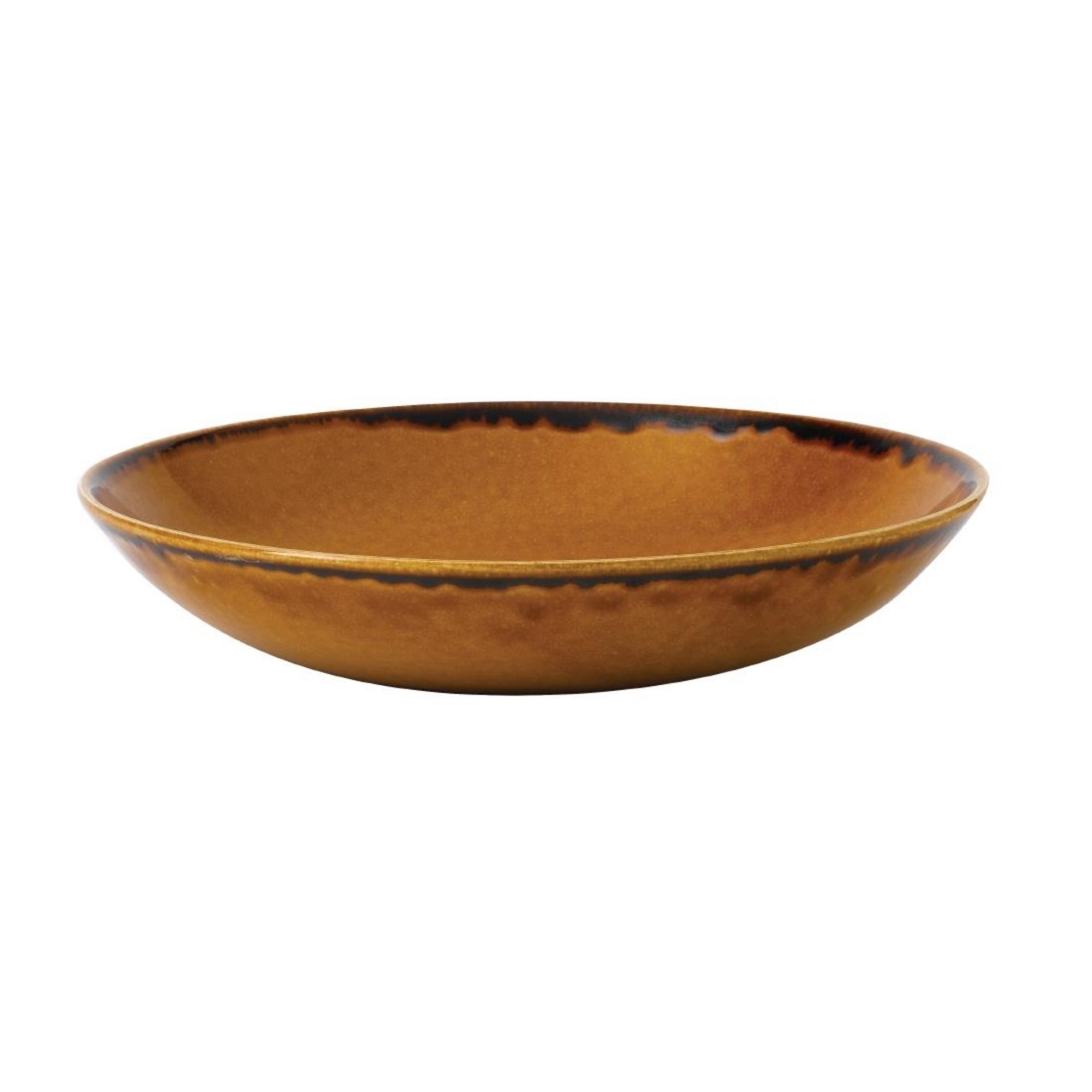 Picture of Dudson Harvest Evolve Coupe Bowls Brown 248mm (12 Pack)