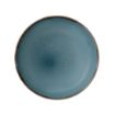 Picture of Dudson Harvest Evolve Coupe Bowls Blue 248mm (12 Pack)