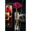 Picture of Utopia Lucent Bud Vases 185ml (6 Pack)