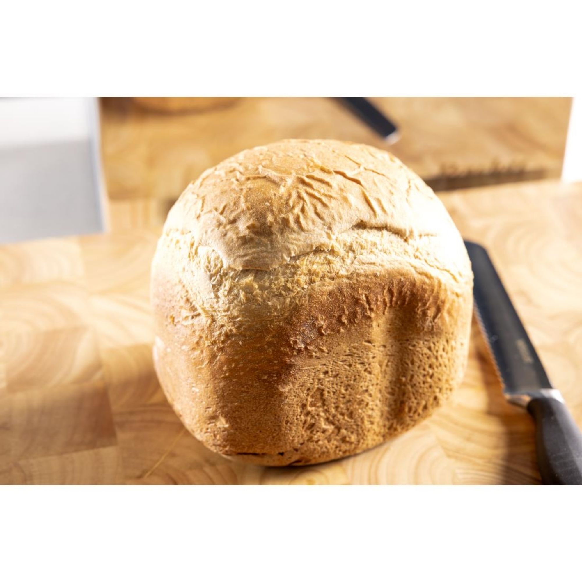 Picture of Rowlett Bread Maker