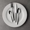Picture of Churchill Profile Plates 270mm (12 Pack)