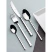 Picture of Elia Sirocco Dessert Spoons (12 Pack)