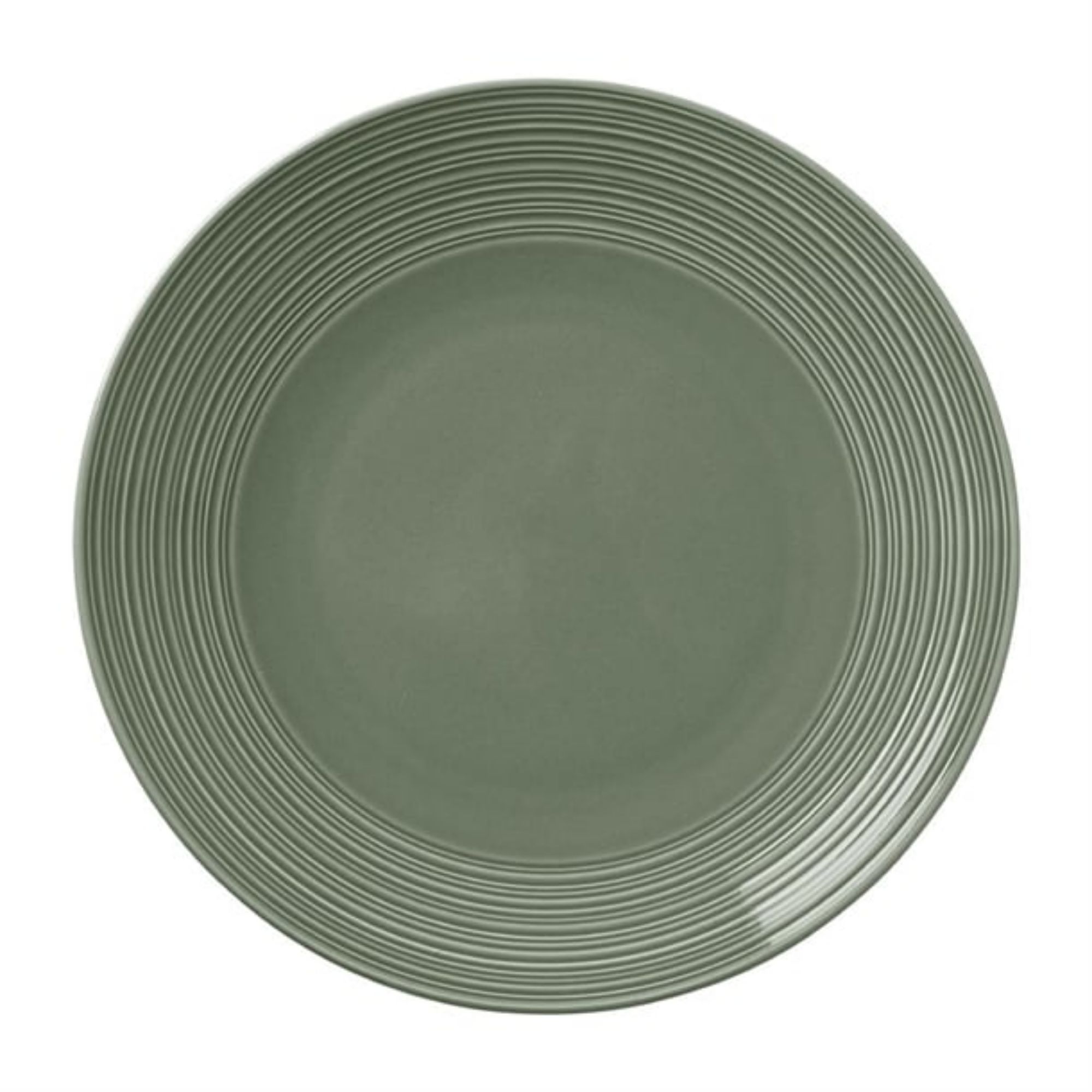 Picture of Steelite Concorde Coupe Plates Fern 255mm (12 Pack)