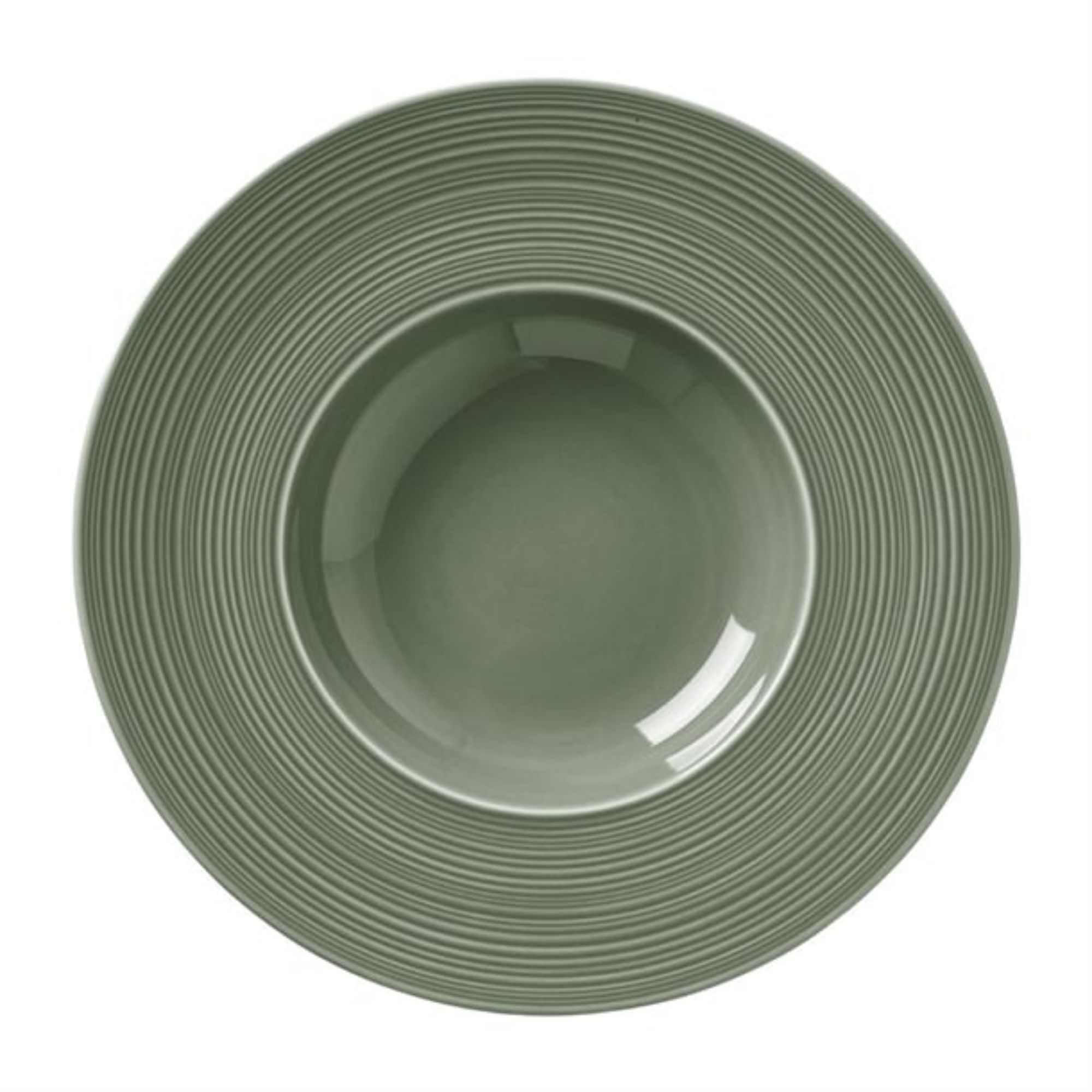Picture of Steelite Concorde Pasta Bowls Fern 285mm (12 Pack)
