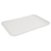 Picture of Dalebrook Melamine Large Rectangular Platter White 330mm