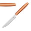 Picture of Amefa PIXEL Dessert Knives Orange (12 Pack)