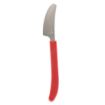 Picture of Amefa Select Straight Dessert Knives Red (12 Pack)