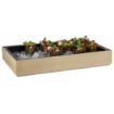 Picture of APS Valo GN 1/1 Insert 515x310x60mm