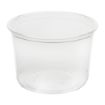 Picture of Fiesta Recyclable rPET Deli Cups 455ml/16oz (300 Pack)