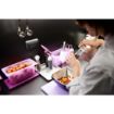 Picture of Pujadas Purple Polinorm Gastronorm Lid 1/3GN