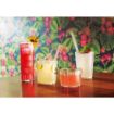 Picture of Arcoroc Chiquito Tumblers/Bowls 230ml (6 Pack)