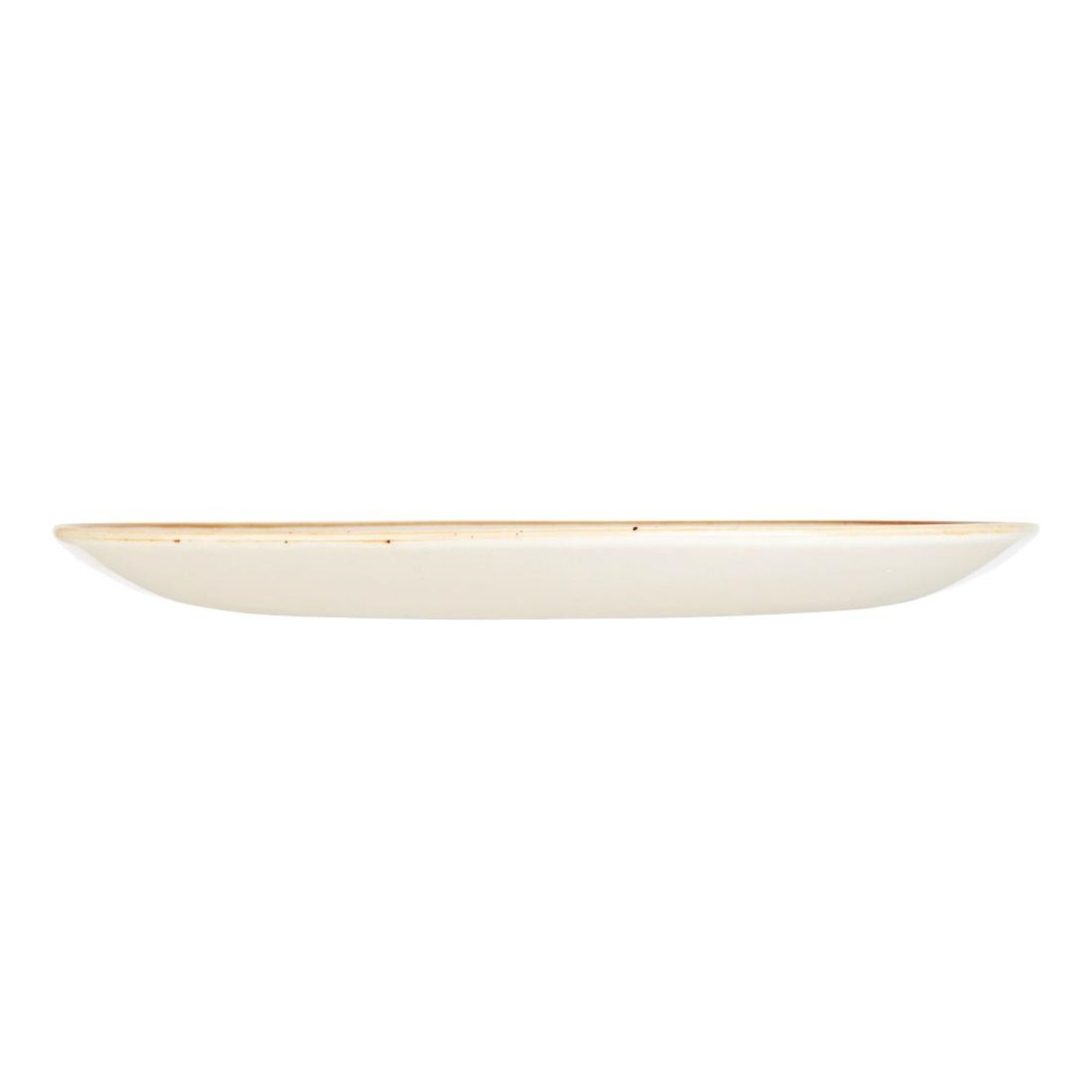 Picture of Churchill Stonecast Coupe Plates Spiced Orange 288mm (12 Pack)